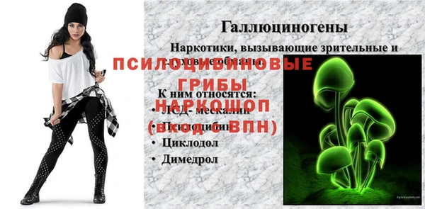эйфоретик Лабытнанги