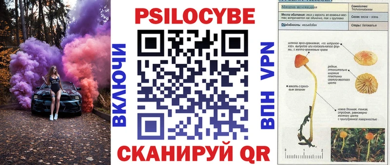 купить  сайты  Устюжна  Галлюциногенные грибы GOLDEN TEACHER 